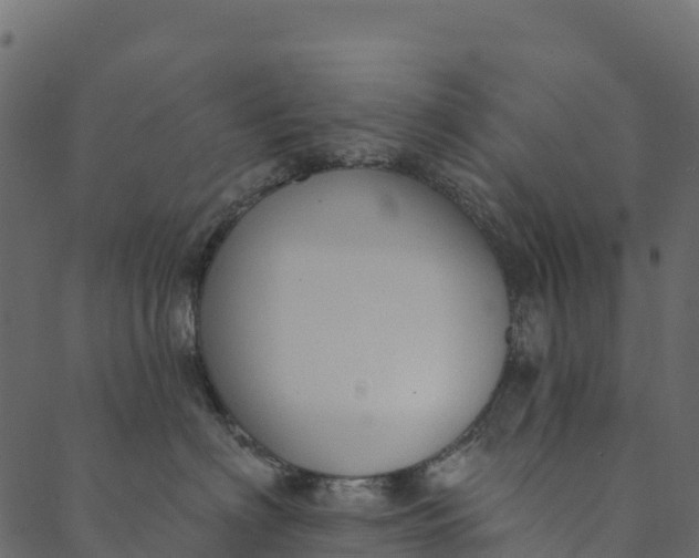 X0000089660622200707121200