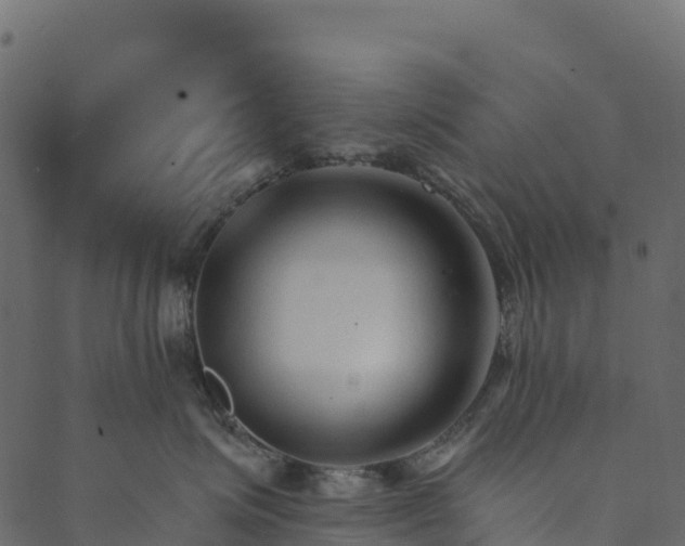 X0000089660623200707121200