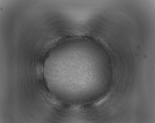 X0000089660624200707121200