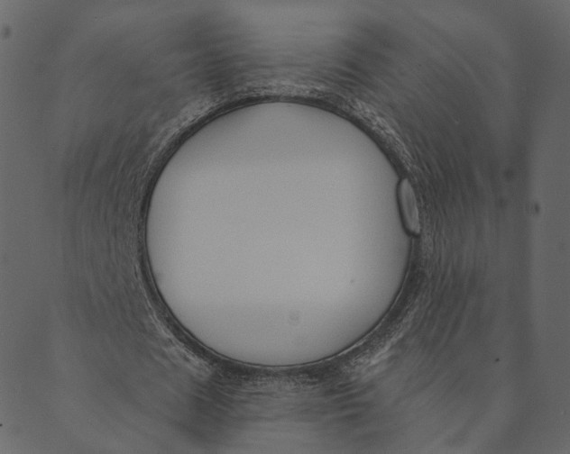 X0000089660625200707121159