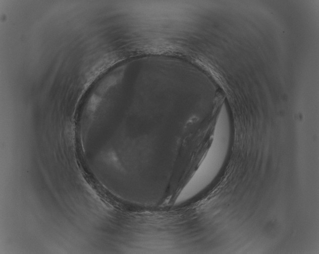 X0000089660626200707121159