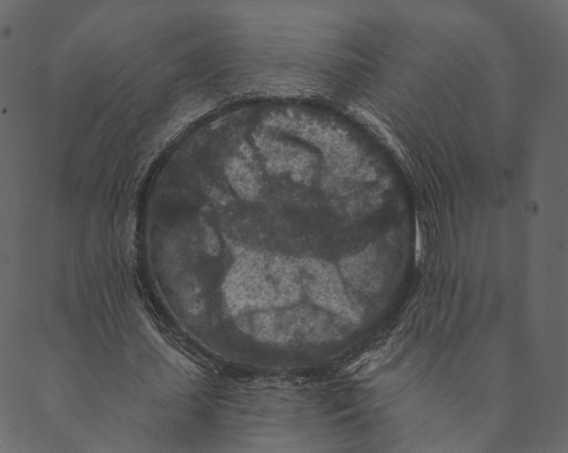 X0000089660627200707121159