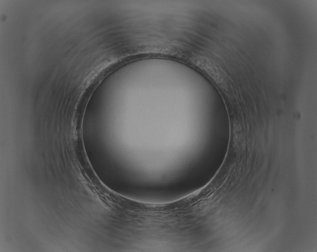 X0000089660628200707121159