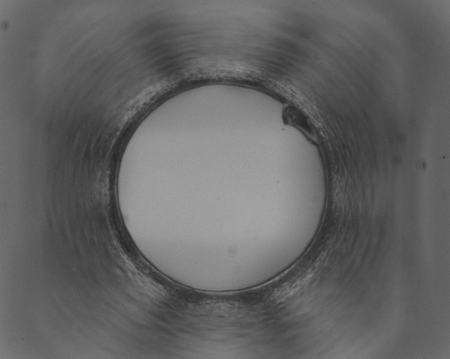 X0000089660629200707121159