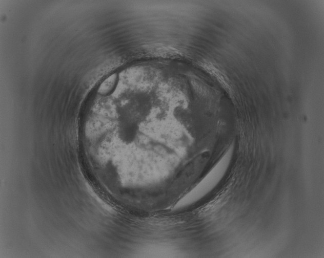 X0000089660630200707121159