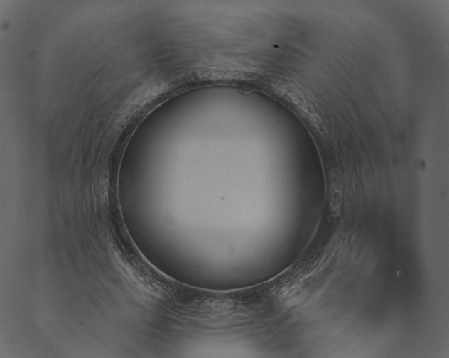 X0000089660631200707121200