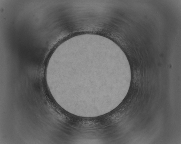 X0000089660632200707121200