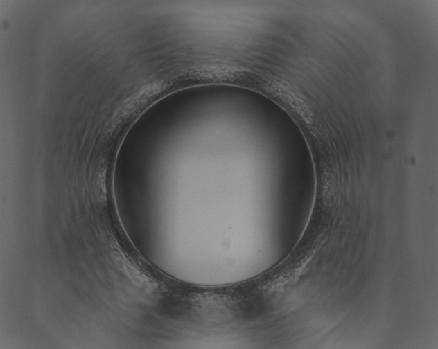 X0000089660633200707121200