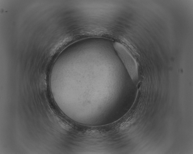 X0000089660634200707121200