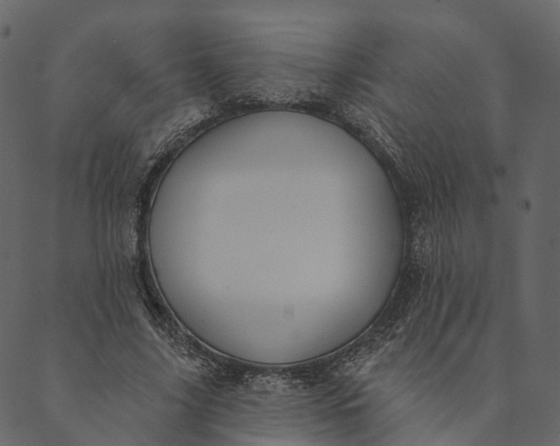 X0000089660635200707121200