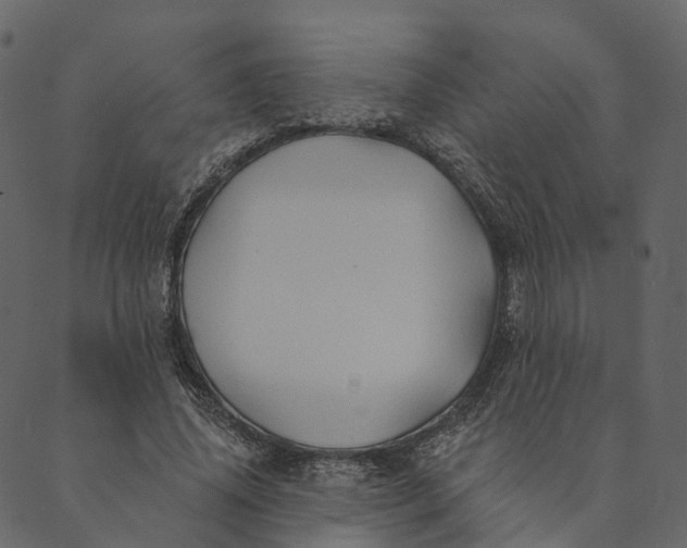 X0000089660636200707121200