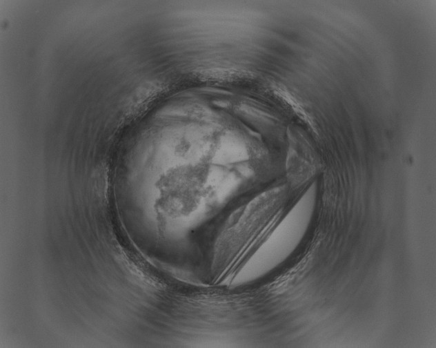 X0000089660637200707121200