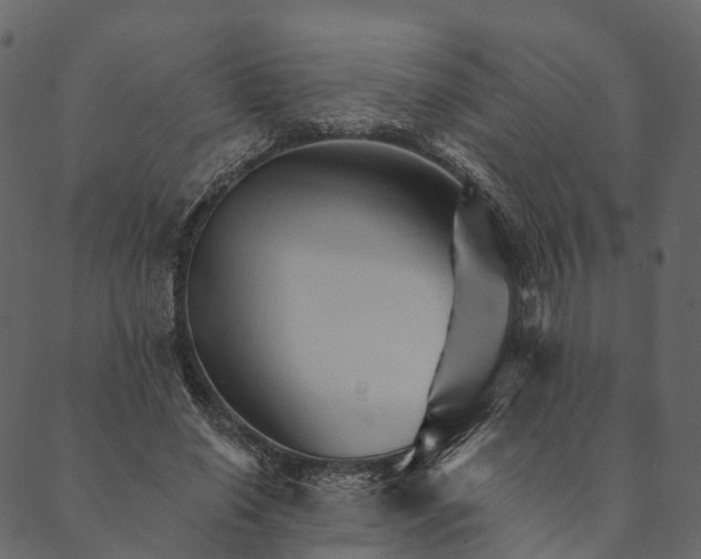 X0000089660638200707121200