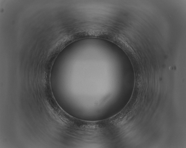 X0000089660639200707121200