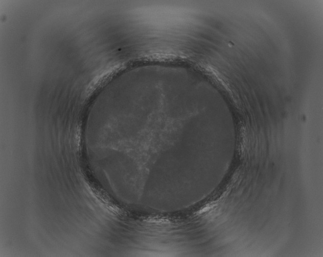 X0000089660640200707121200