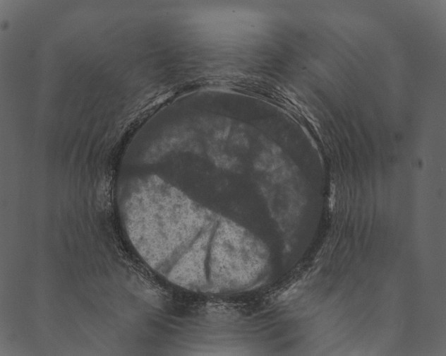 X0000089660641200707121200