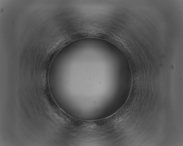 X0000089660642200707121200