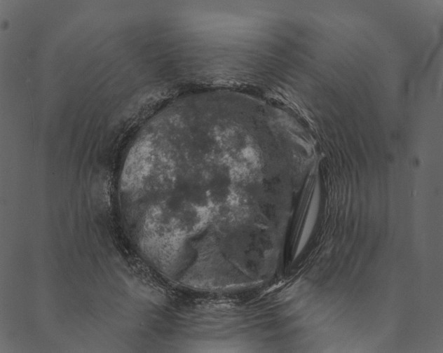 X0000089660643200707121200