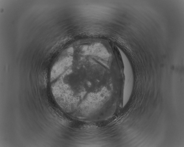 X0000089660644200707121200