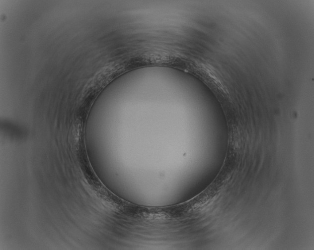 X0000089660645200707121200