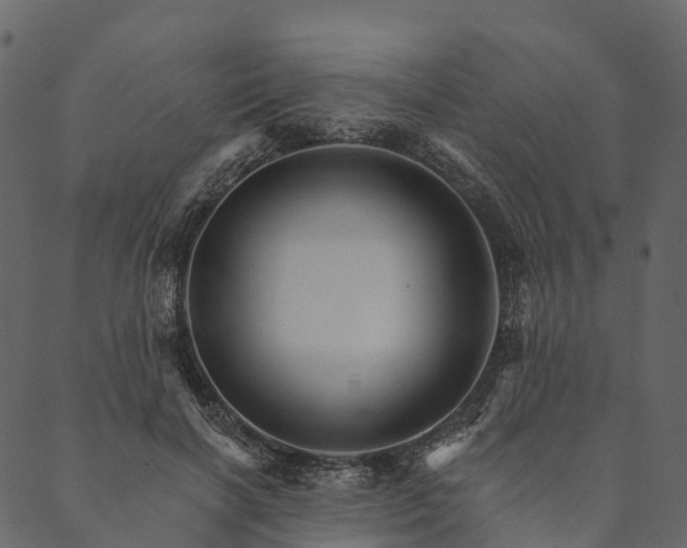 X0000089660646200707121200