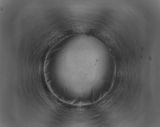 X0000089660647200707121200