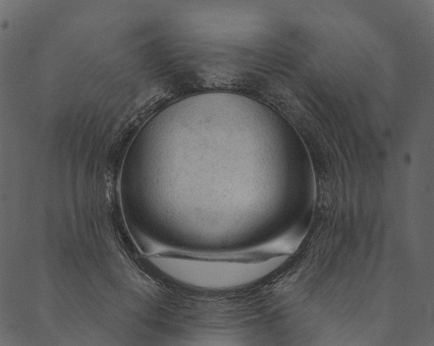 X0000089660648200707121200