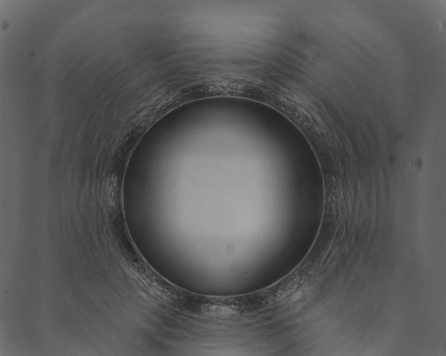 X0000089660649200707121200