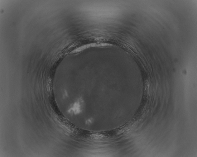 X0000089660650200707121200