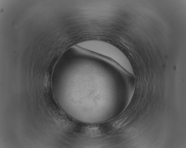 X0000089660651200707121200