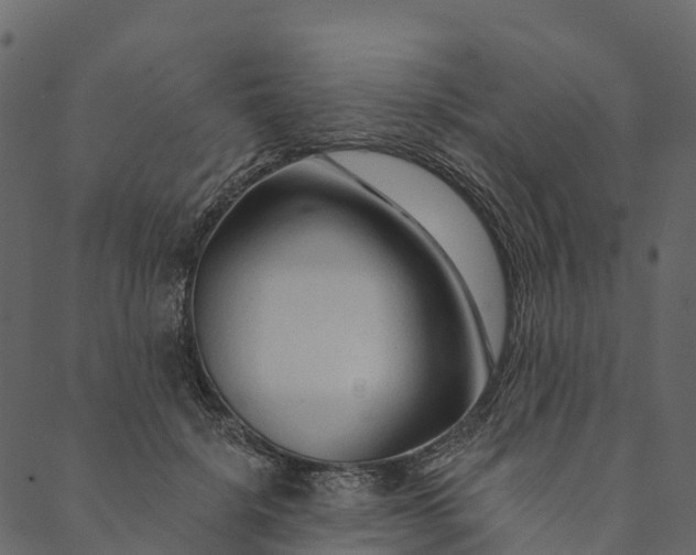 X0000089660652200707121200