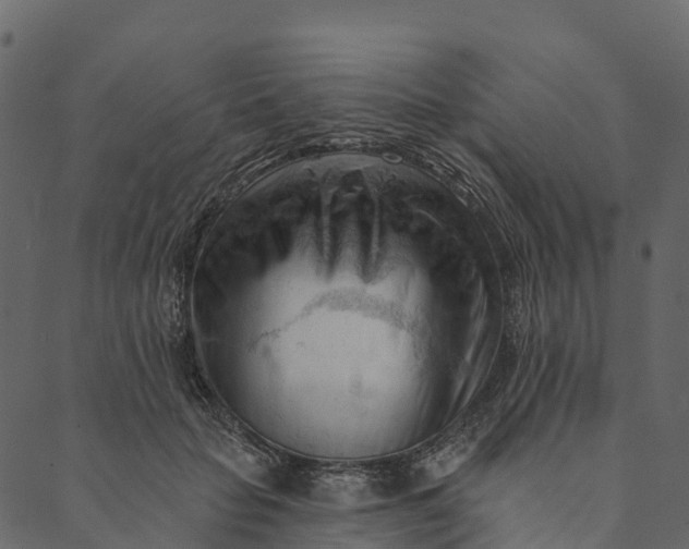 X0000089660653200707121200