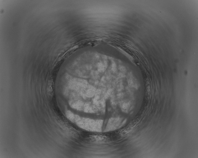 X0000089660654200707121200