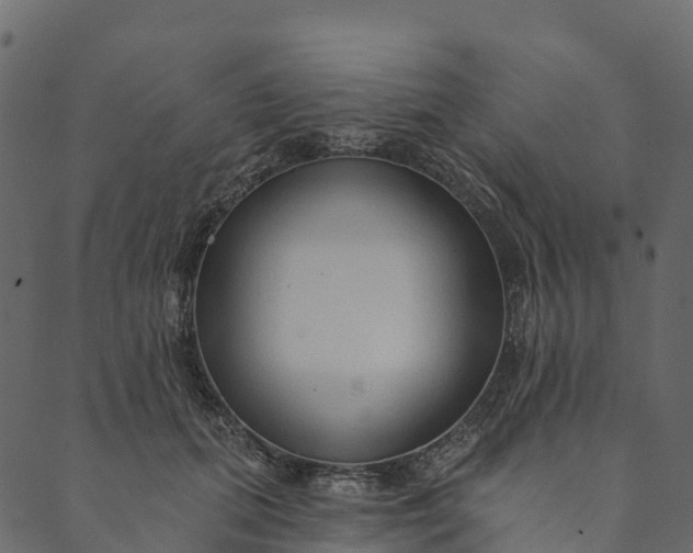 X0000089660655200707121200