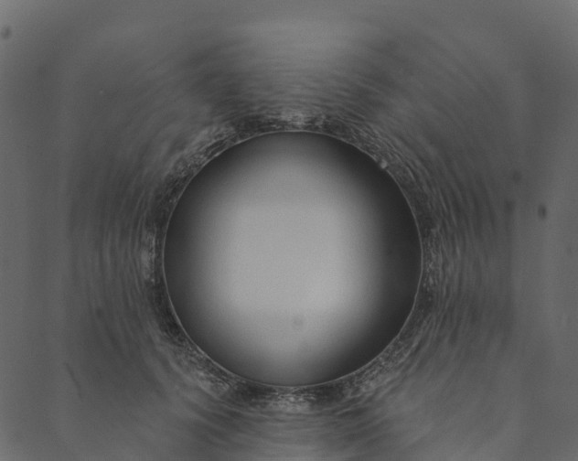 X0000089660656200707121200