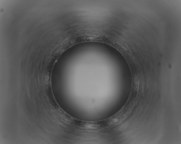 X0000089660657200707121200