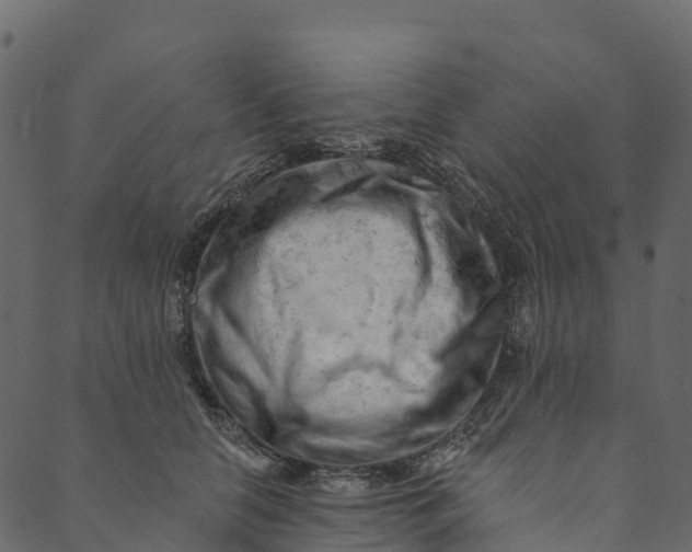 X0000089660658200707121200