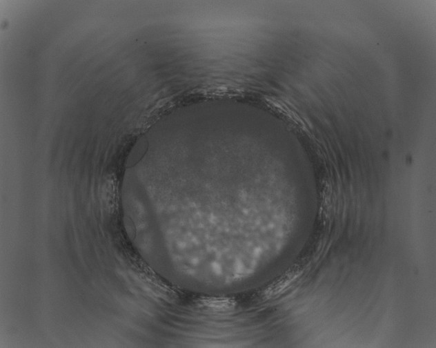 X0000089660659200707121200