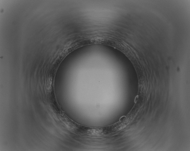 X0000089660660200707121200