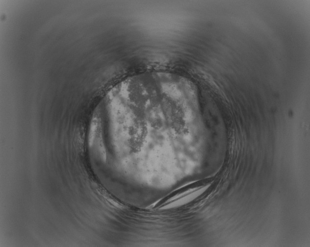 X0000089660661200707121200