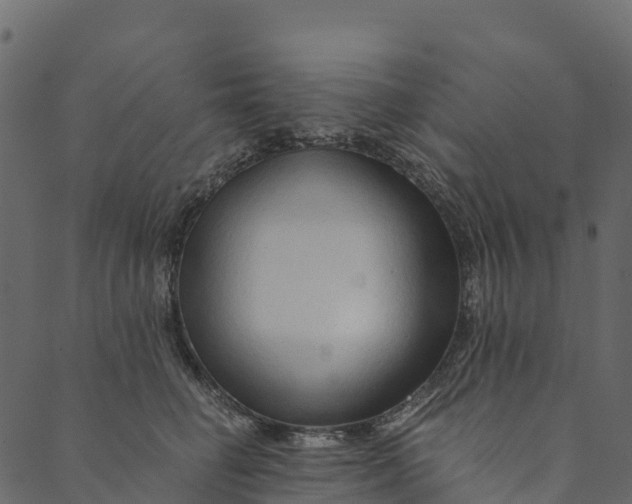 X0000089660662200707121200