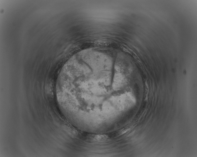 X0000089660663200707121200