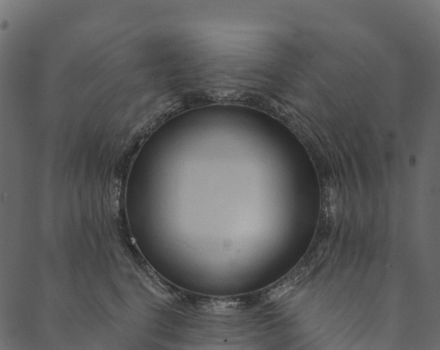 X0000089660664200707121200