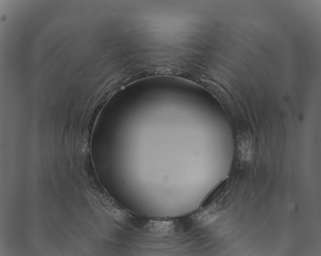 X0000089660665200707121200