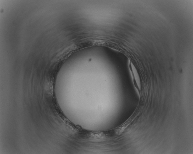 X0000089660666200707121200