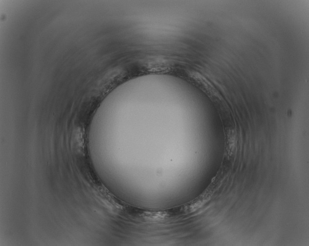 X0000089660667200707121200