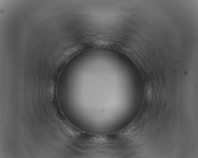 X0000089660668200707121200