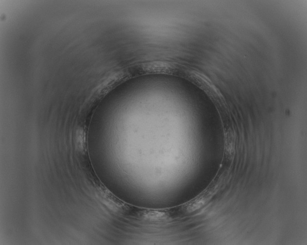 X0000089660669200707121200