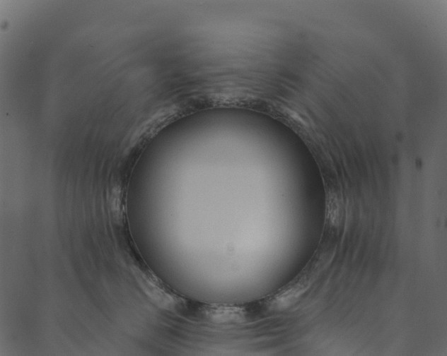 X0000089660670200707121200