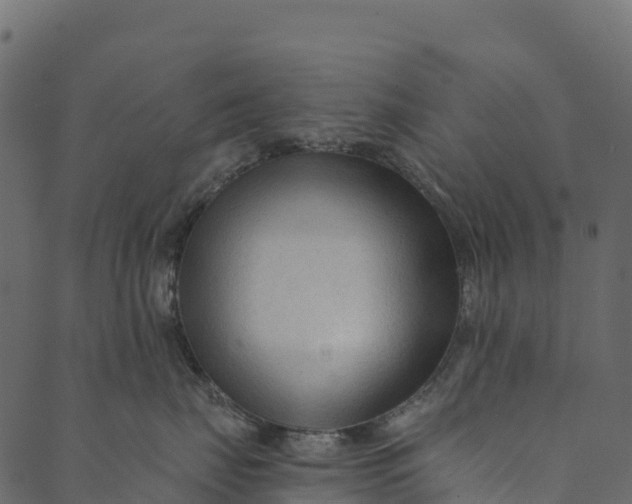 X0000089660671200707121200